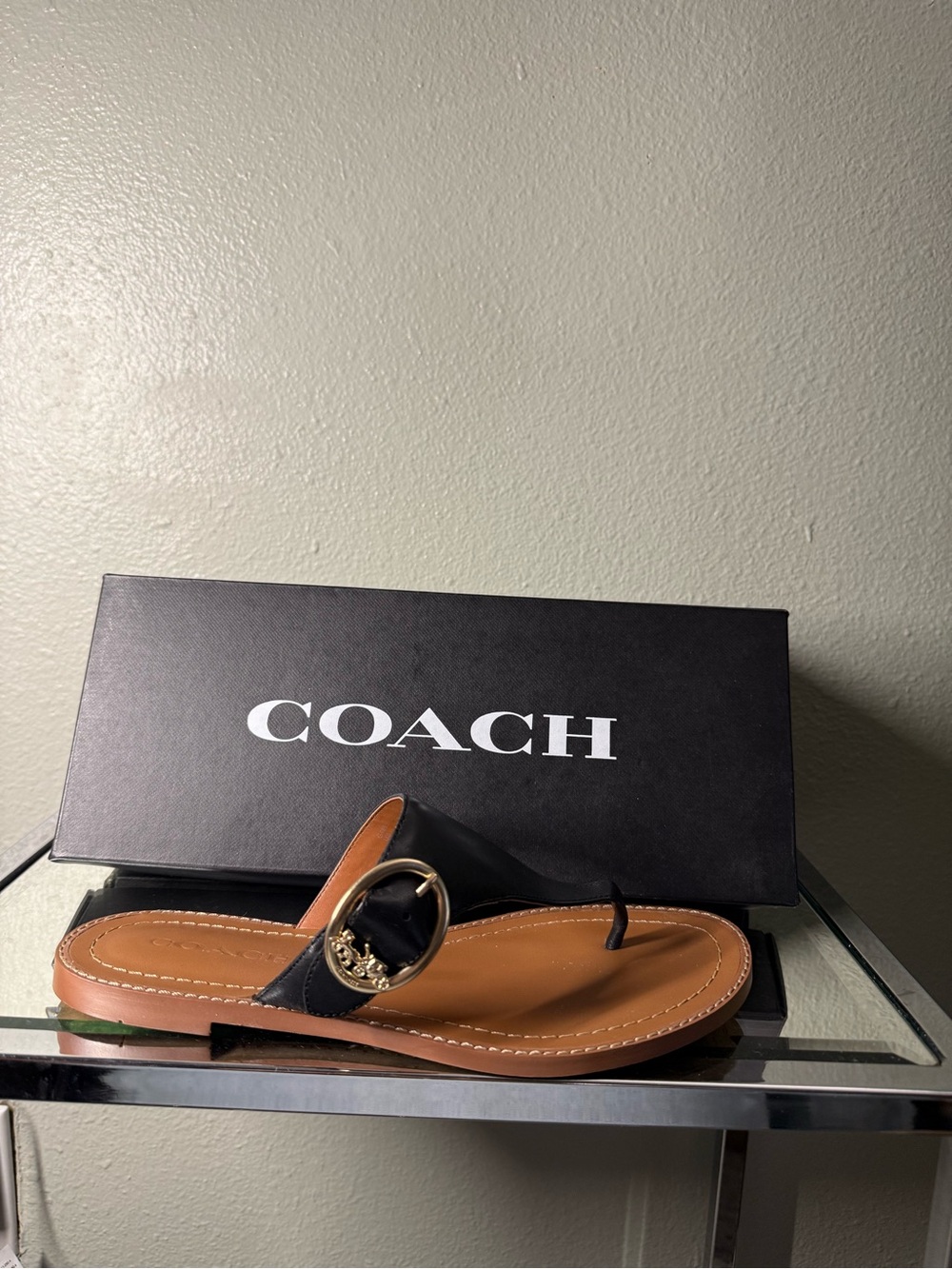 NWT Coach Lesli Black Leather Horse & Carriage Sandals Size 7.5B w/ Box